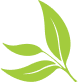 Banner Leaf