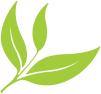 Banner Leaf