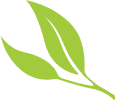 Banner Leaf